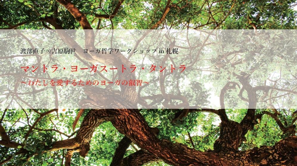 783EE553-0D67-4505-8DD8-3A4821B2839E